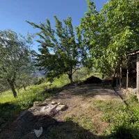 زمین به متراژ ۳۳۰۰ متر برای ساخت باغ ویلا|فروش زمین و ملک کلنگی|رودبار, |دیوار