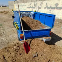 کود گوسفندی نیسانی|خدمات باغبانی و درختکاری|کوهدشت, |دیوار