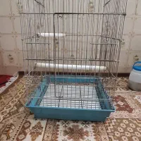 قفس پرنده
