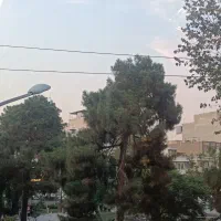 ملک ۳۹متری منطقه ۱۲
