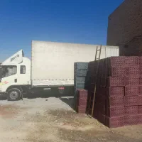 تولید سبد میوه|ظروف نگهدارنده، پلاستیکی، یک‌بارمصرف|ممقان, |دیوار