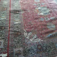 یک جفت فرش 12متری