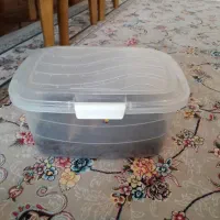 حلزون ۱۷ سانتی|خزنده|تهران, بلورسازی|دیوار