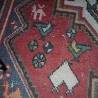 قالی دستبافت در حد نو اصل|فرش|سمیرم, |دیوار