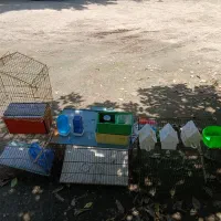 فروش وسایل پرندگان