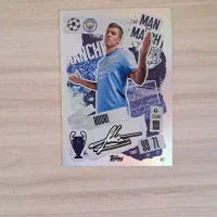 کارت کلکسیونی Topps رودری