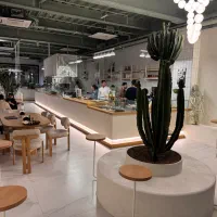 استخدام کافه رستوران فلور ولنجک