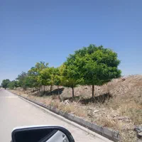 فروش ویلایی ۵۰۹ متری درجاده کلات نوچاه فردوسی|فروش خانه و ویلا|مشهد, نوچاه|دیوار