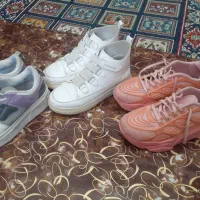 کفش|کیف، کفش، کمربند|زرند, |دیوار