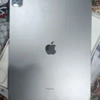 Ipad pro . m2  .256g cellular ریجستر شده