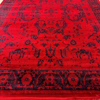 فرش ۵۰۰ شانه، نقش گل و ترنج|فرش|گرگان, |دیوار