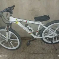 دوچرخه سفید رینگ اسپرت