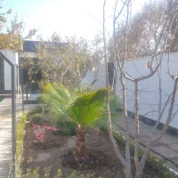 باغ ویلا قیمت کاسبی سندتکبرگ(لم آبادخ رضوان)شهریار|فروش خانه و ویلا|شهریار, شهرک شاهد|دیوار