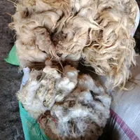 پشم گوسفند خوب|رختخواب، بالش، پتو|ماکو, |دیوار