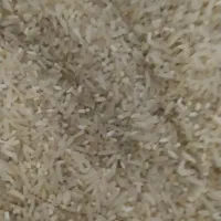 برنج فجر 90روزه.