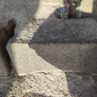 بلوک مجانی
