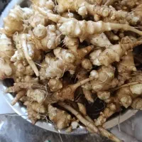 سیب ترشی با بهترین کیفیت