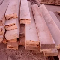 چوب سپیدار تبریزی