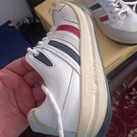 کتونی آدیداس سه خط