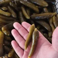 خیارشورو ترشیجات زاگرس|عمده‌فروشی|اهواز, زیتون کارمندی|دیوار