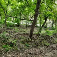 زمین۸۰۰ متر  در کردان روستای سیباندره