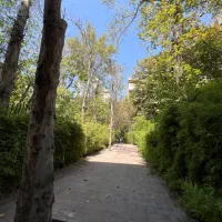 مستغلات ۸۰۰متر الهیه دسترسی ولیعصر مناسب مشاغل