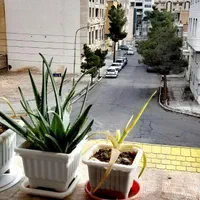 اجاره روزانه هفتگی ماهانه در شهرک گلشهر میدان کوثر|اجارهٔ کوتاه‌مدت آپارتمان و سوئیت|سمنان, |دیوار
