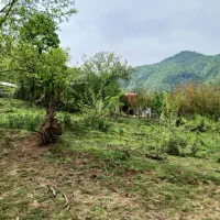 زمین کوهپایه ای کیش دره آلیان