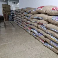 پخش کالای خواب وروتختی وتشک وبالش وروبالشی وحوله|رختخواب، بالش، پتو|زاهدان, |دیوار