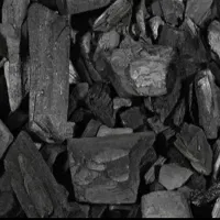 پخش زغال کبابی درختی