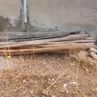 چوب فروشی لطفی|مصالح و تجهیزات ساختمان|دیواندره, |دیوار