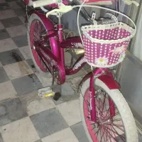 دوچرخه سایز ۲۰ المپیا دخترانه