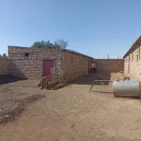 دامداری