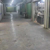 اجاره مغازه