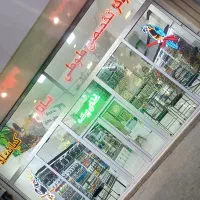 مرکز تخصصی طوطی سانان کیانشاه