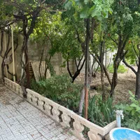 باغ ۷۲۰متری/سند۶دانگ/مناسب ساخت/خیابان پدم|فروش خانه و ویلا|محمدشهر, همایون ویلا|دیوار