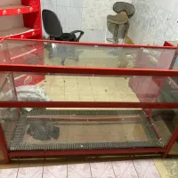 قفسه و ویترین