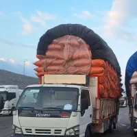 کاه کردستان وکرمانشاه به شرط کاه کمباین