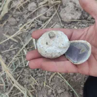 سنگ عتیقه، سکه قدیمی|کلکسیون اشیاء عتیقه|هرسین, |دیوار