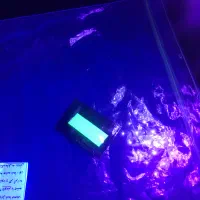 چراغ دستی UV (فرابنفش)|لامپ و چراغ|تهران, ونک|دیوار