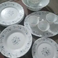 ارکوپال گل آبی قدیمی