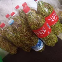 ترشی بنه