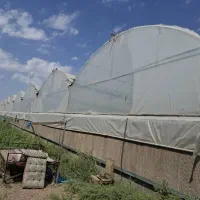 سازه گلخانه|مصالح و تجهیزات ساختمان|مرند, |دیوار