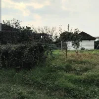 فروش زمین و خانه کلنگی با ۲۰۰نهال کیوی خونی|فروش خانه و ویلا|حویق, |دیوار