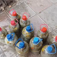 خیار شور.دویست هزار خوراکی جا سرکه ای ،ولی ریز 300