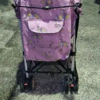 کالسکه عصایی