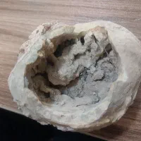 سنگ فسیل زیبا