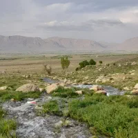 فروش زمین کشاورزی