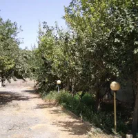 باغچه اوغلان تپه داخل بافت|فروش زمین و ملک کلنگی|رامجین, |دیوار