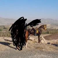 اسب دره شور فروشی|اسب و تجهیزات اسب‌سواری|فیرورق, |دیوار